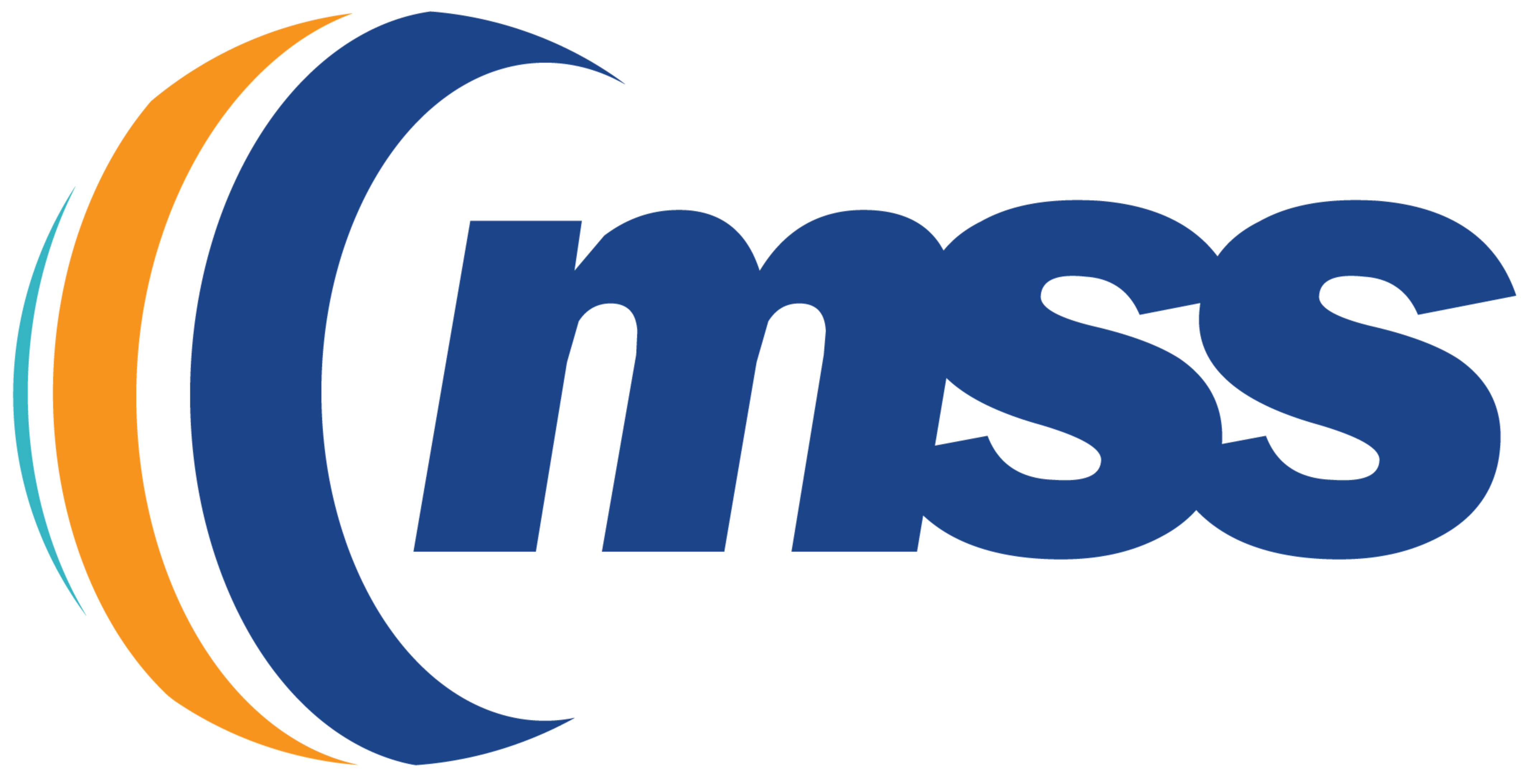 PT Menara Sinar Semesta